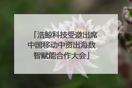 浩鲸科技受邀出席中国移动中资出海数智赋能合作大会