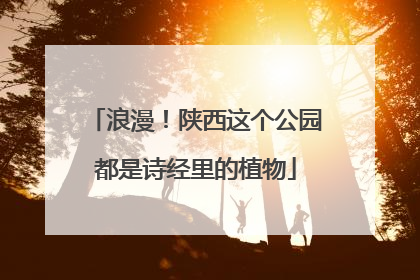浪漫！陕西这个公园都是诗经里的植物