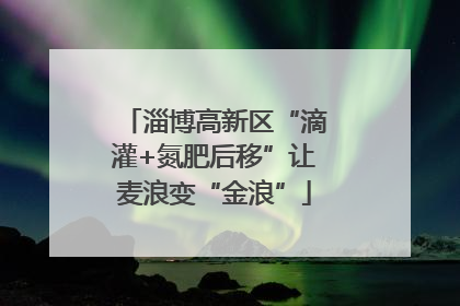 淄博高新区“滴灌+氮肥后移”让麦浪变“金浪”