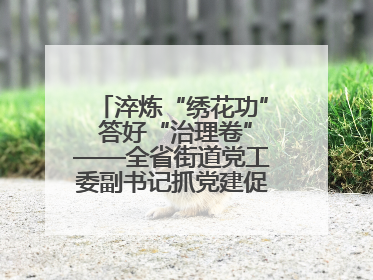 淬炼“绣花功” 答好“治理卷”——全省街道党工委副书记抓党建促基层治理培训示范班侧记