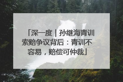 深一度｜孙继海青训索赔争议背后：青训不容易，赔偿可仲裁
