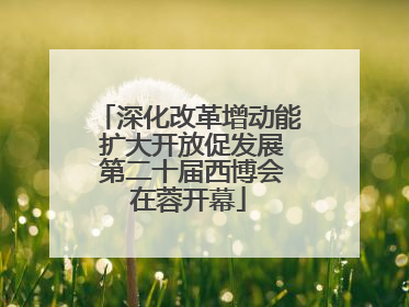 深化改革增动能 扩大开放促发展 第二十届西博会在蓉开幕