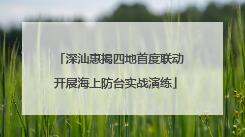 深汕惠揭四地首度联动开展海上防台实战演练