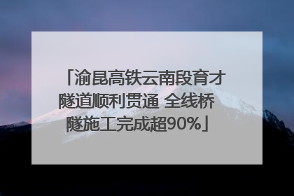 渝昆高铁云南段育才隧道顺利贯通 全线桥隧施工完成超90%