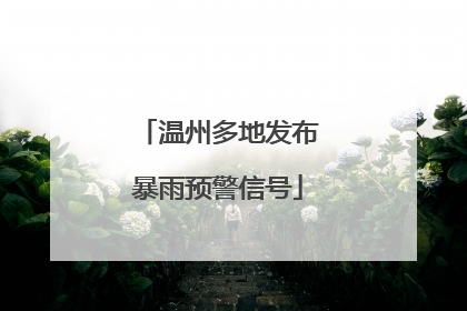 温州多地发布暴雨预警信号