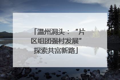 温州洞头：“片区组团强村发展”探索共富新路