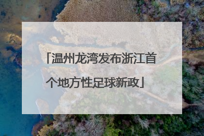 温州龙湾发布浙江首个地方性足球新政
