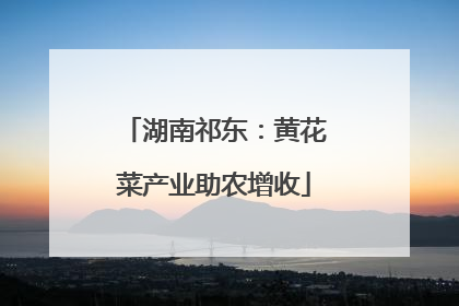 湖南祁东：黄花菜产业助农增收
