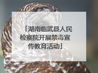 湖南临武县人民检察院开展禁毒宣传教育活动