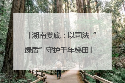 湖南娄底：以司法“绿盾”守护千年梯田