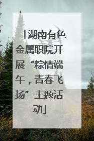 湖南有色金属职院开展“粽情端午，青春飞扬”主题活动