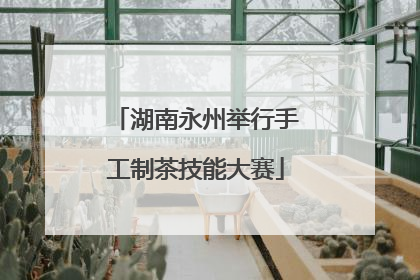 湖南永州举行手工制茶技能大赛