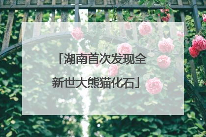 湖南首次发现全新世大熊猫化石
