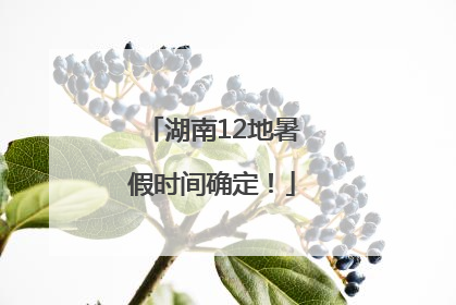 湖南12地暑假时间确定！