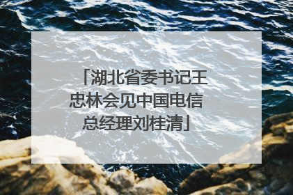 湖北省委书记王忠林会见中国电信总经理刘桂清
