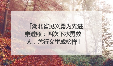 湖北省见义勇为先进秦遵照：四次下水勇救人，善行义举成榜样