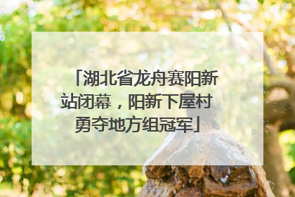 湖北省龙舟赛阳新站闭幕，阳新下屋村勇夺地方组冠军