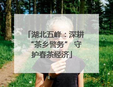湖北五峰：深耕“茶乡警务” 守护春茶经济