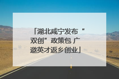 湖北咸宁发布“双创”政策包 广邀英才返乡创业