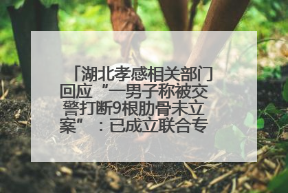 湖北孝感相关部门回应“一男子称被交警打断9根肋骨未立案”：已成立联合专班开展工作