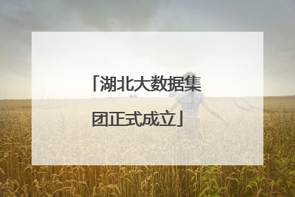 湖北大数据集团正式成立