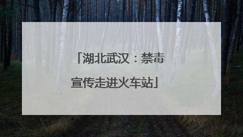 湖北武汉：禁毒宣传走进火车站