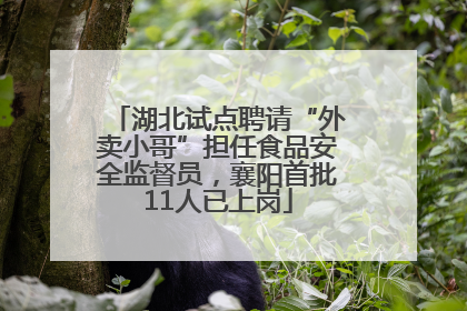 湖北试点聘请“外卖小哥”担任食品安全监督员，襄阳首批11人已上岗