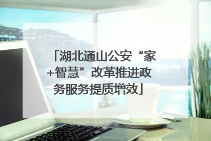 湖北通山公安“家+智慧”改革推进政务服务提质增效