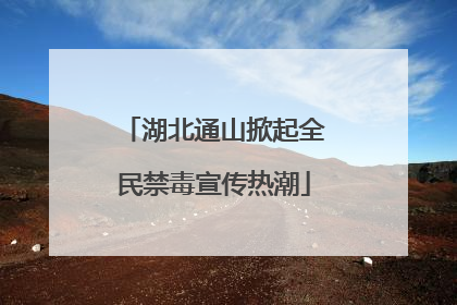 湖北通山掀起全民禁毒宣传热潮
