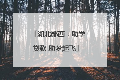 湖北郧西：助学贷款 助梦起飞