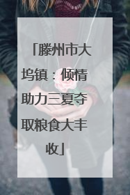 滕州市大坞镇：倾情助力三夏夺取粮食大丰收