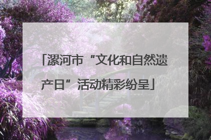 漯河市“文化和自然遗产日”活动精彩纷呈