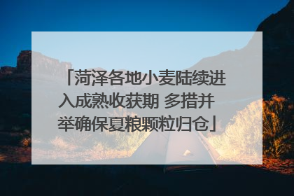 菏泽各地小麦陆续进入成熟收获期 多措并举确保夏粮颗粒归仓