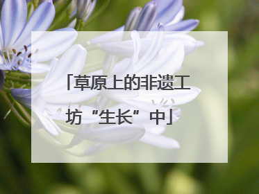 草原上的非遗工坊“生长”中