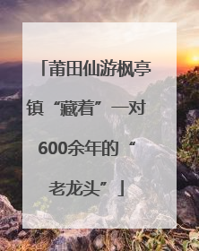 莆田仙游枫亭镇“藏着”一对600余年的“老龙头”