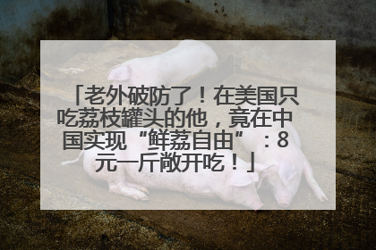 老外破防了！在美国只吃荔枝罐头的他，竟在中国实现“鲜荔自由”：8元一斤敞开吃！