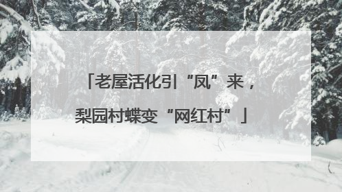 老屋活化引“凤”来，梨园村蝶变“网红村”