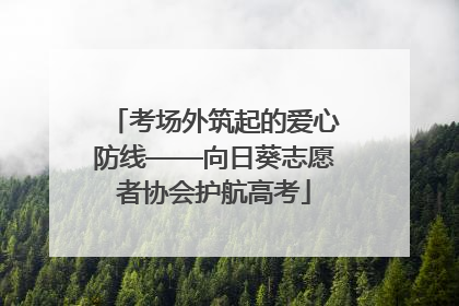 考场外筑起的爱心防线——向日葵志愿者协会护航高考