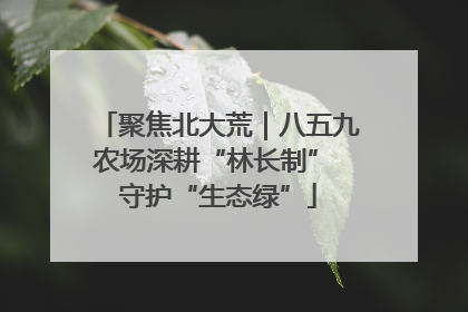聚焦北大荒｜八五九农场深耕“林长制” 守护“生态绿”