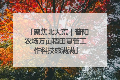 聚焦北大荒｜普阳农场万亩稻田夏管工作科技感满满