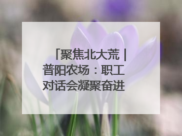 聚焦北大荒｜普阳农场：职工对话会凝聚奋进“强磁场”