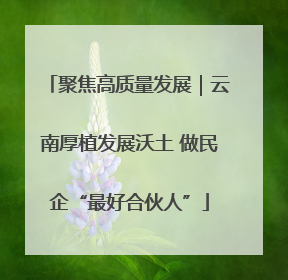 聚焦高质量发展｜云南厚植发展沃土 做民企“最好合伙人”