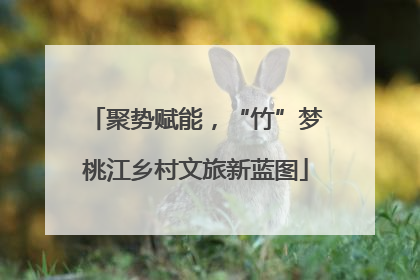 聚势赋能，“竹”梦桃江乡村文旅新蓝图