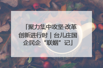 聚力集中攻坚·改革创新进行时｜台儿庄国企民企“联姻”记