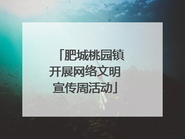 肥城桃园镇开展网络文明宣传周活动