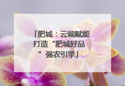 肥城：云端赋能 打造“肥城好品”强农引擎