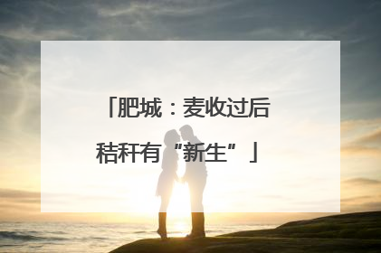 肥城：麦收过后秸秆有“新生”