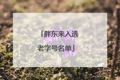 胖东来入选老字号名单