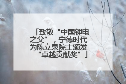 致敬“中国锂电之父”，宁德时代为陈立泉院士颁发“卓越贡献奖”