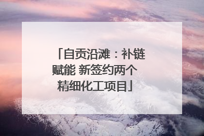 自贡沿滩：补链赋能 新签约两个精细化工项目